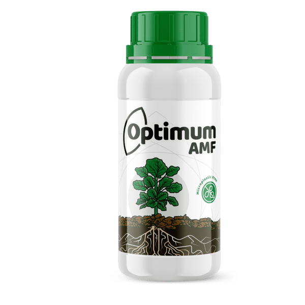 Optimum AMF