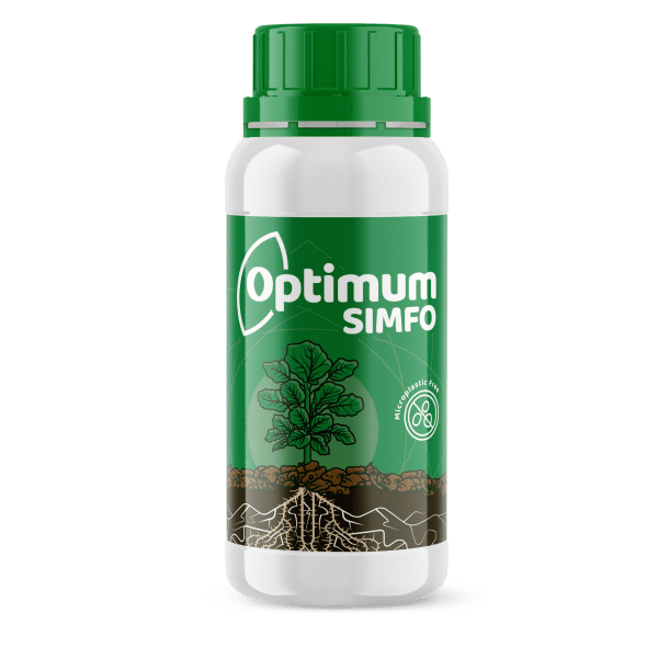 Optimum SIMFO
