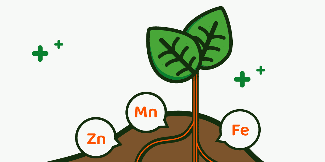 Efficient, Eco-Friendly Micronutrients Formulated with Gluconic Acid