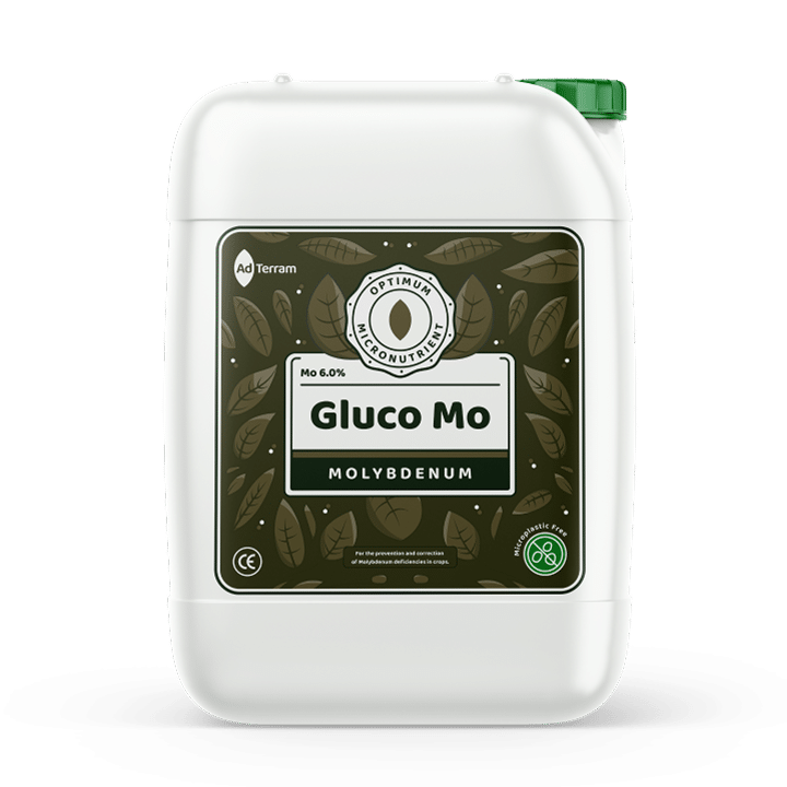 Molybdenum Optimum Gluco Mo
