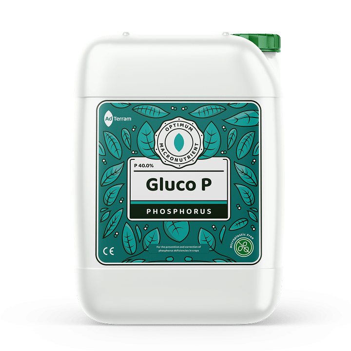 Phosphorus Optimum Gluco P