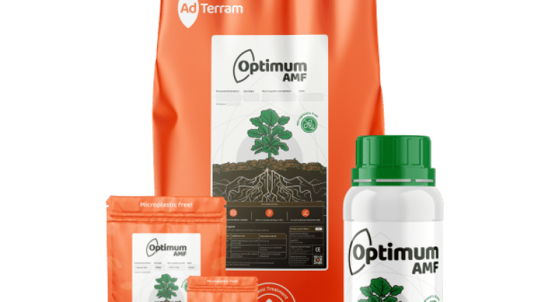 Optimum AMF